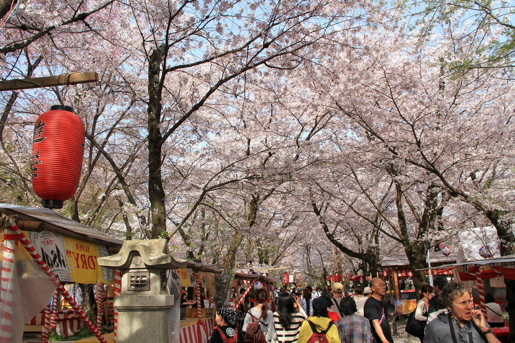 京都平野神社03.JPG