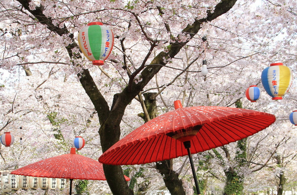 京都平野神社06.JPG