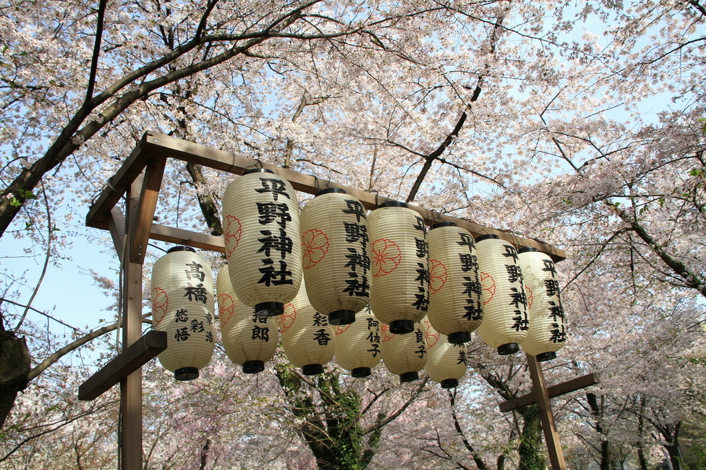 京都平野神社09.JPG