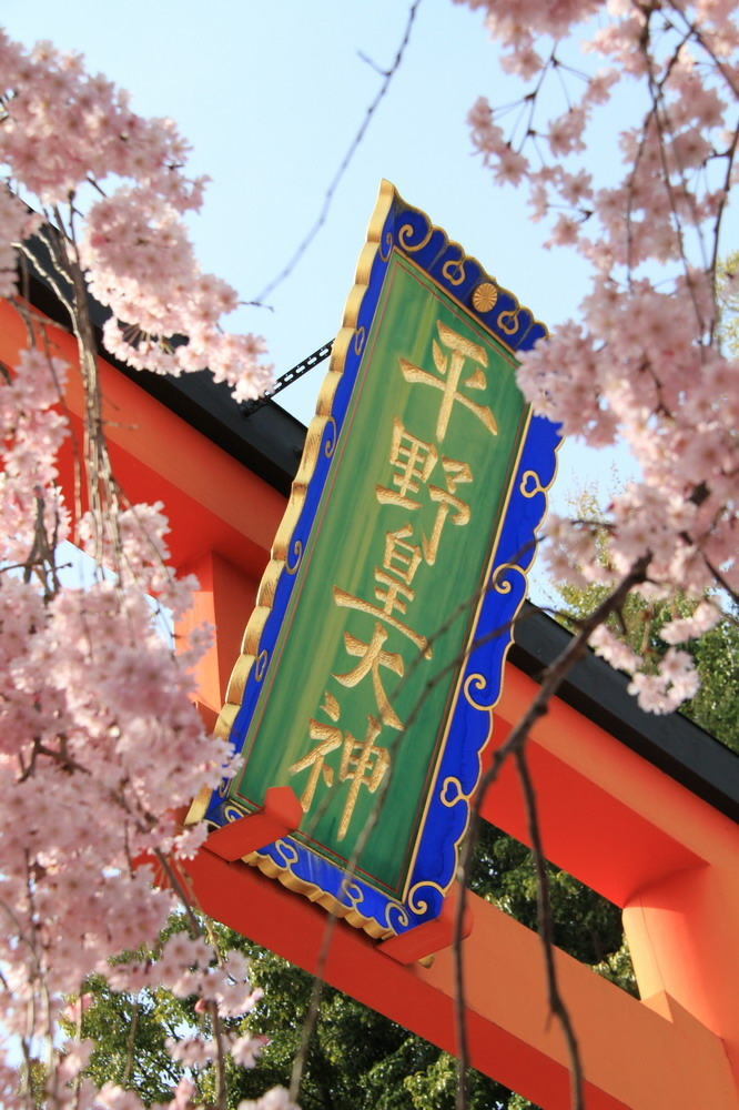 京都平野神社16.JPG