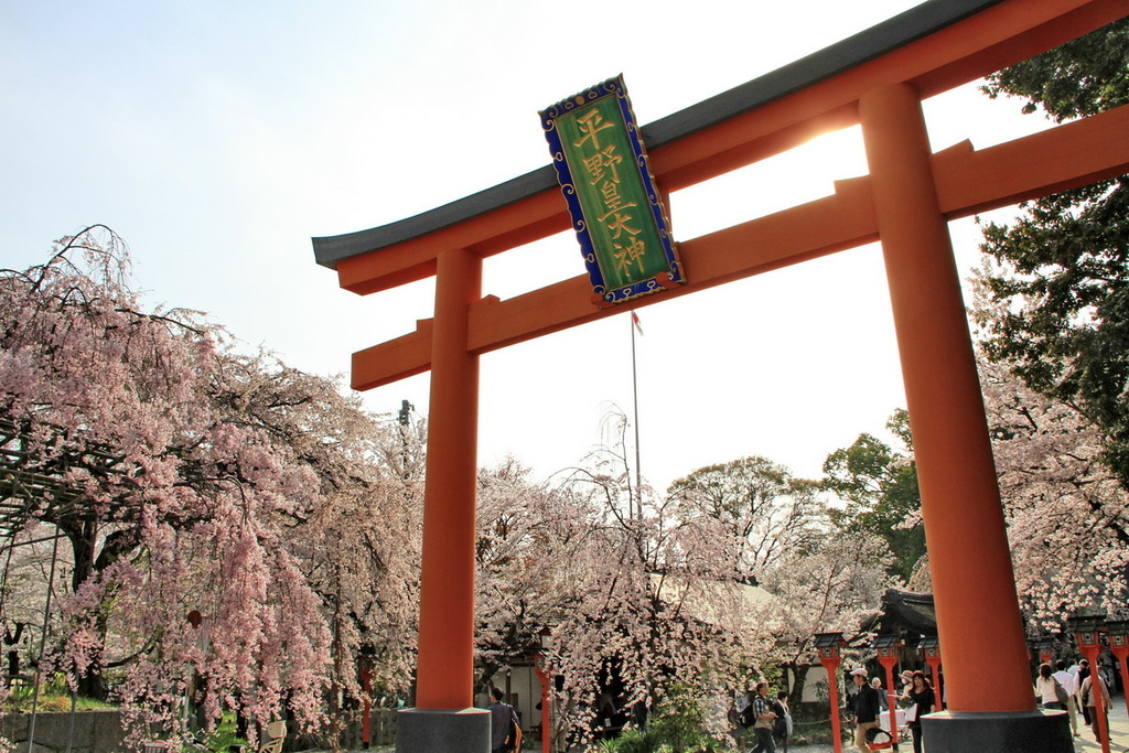 京都平野神社15.jpg
