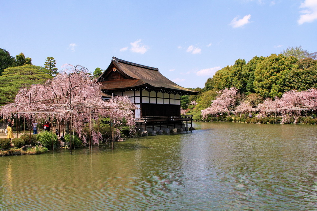 京都平安神宮17.JPG