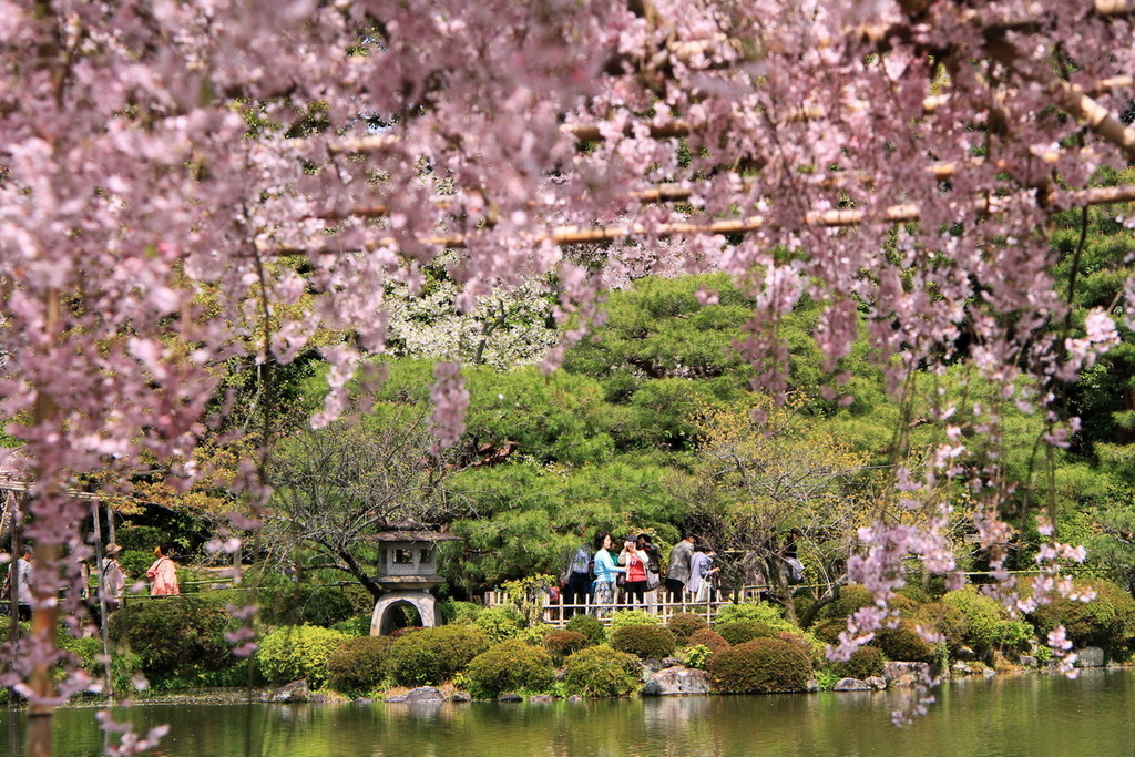 京都平安神宮18.jpg