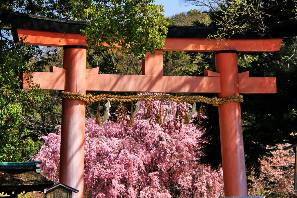 上賀茂神社04.jpg