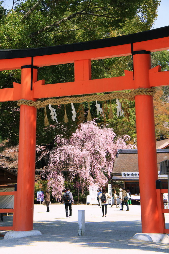 上賀茂神社10.jpg