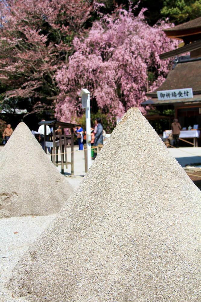 上賀茂神社14.jpg