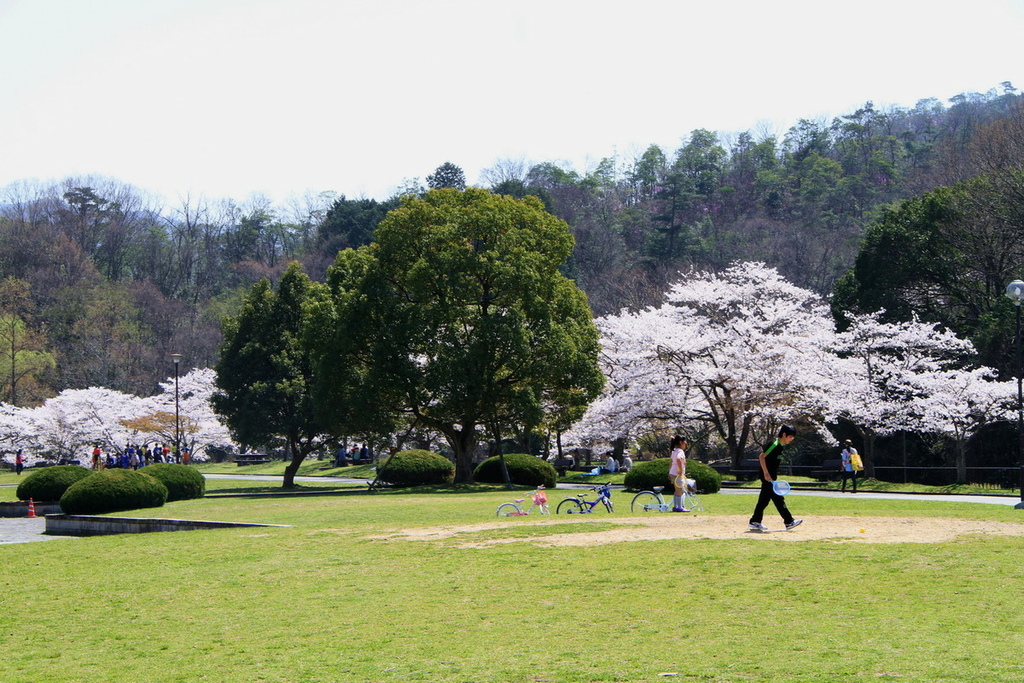 京都寶池公園05.JPG