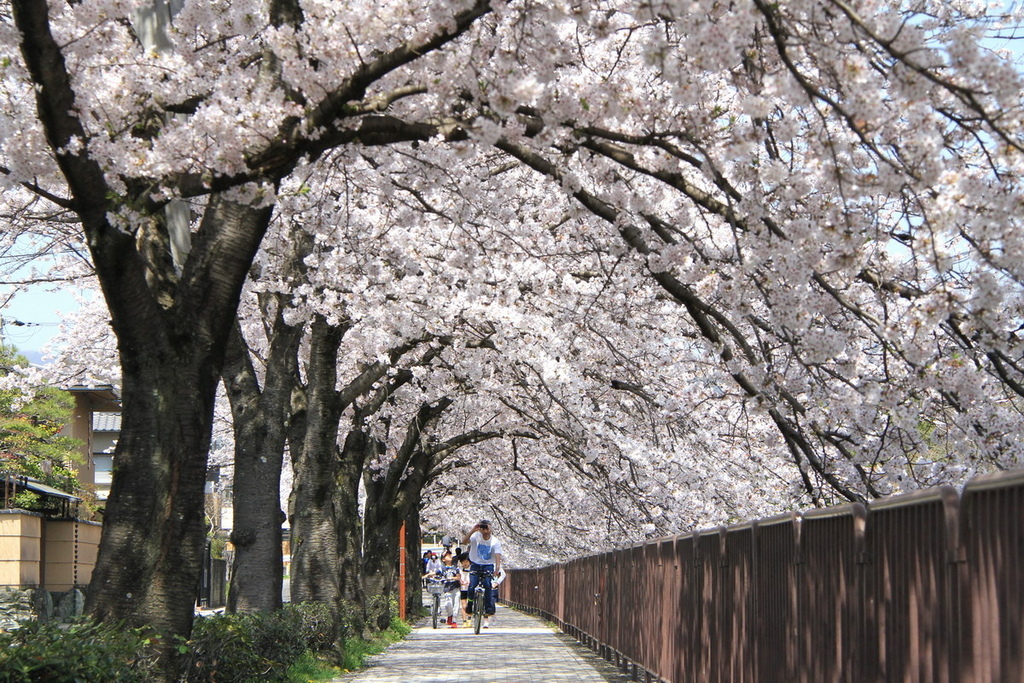 京都寶池公園01.JPG