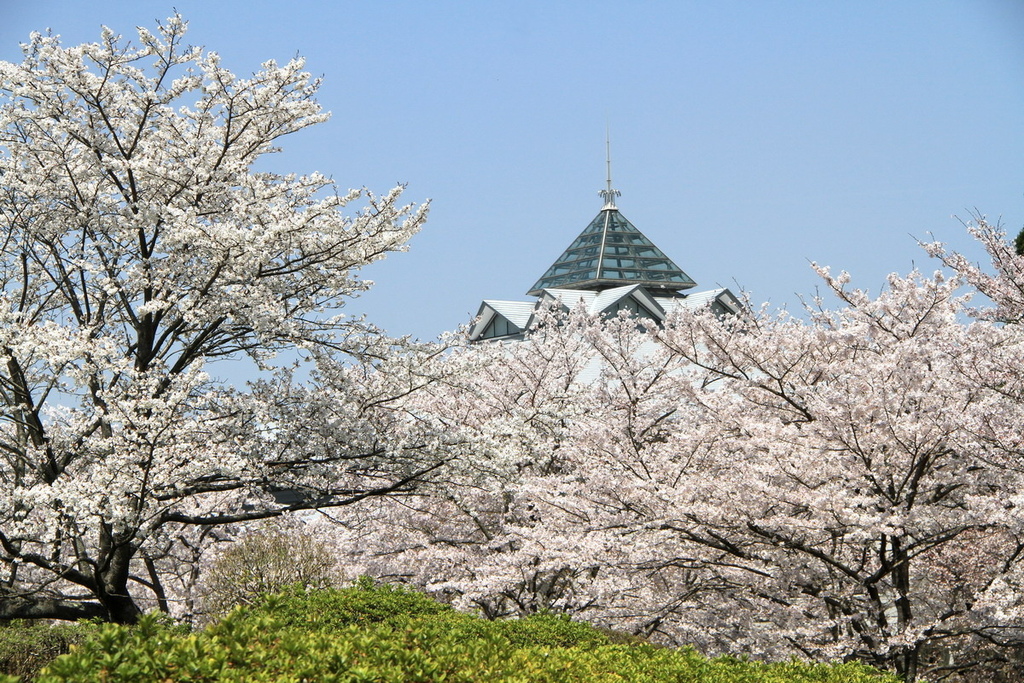 京都寶池公園22.JPG