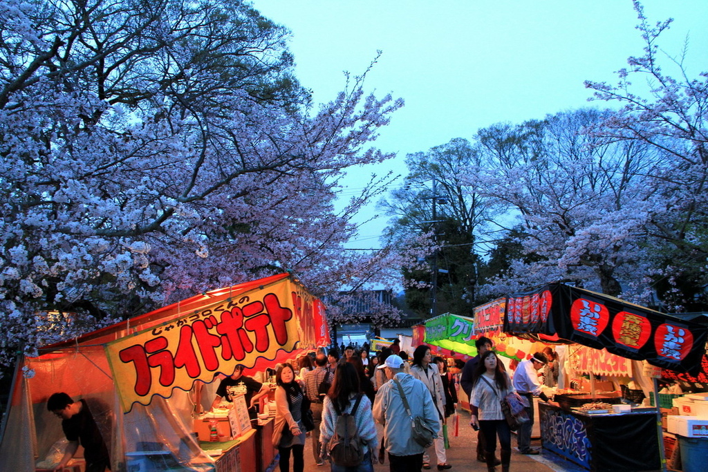 祇園夜櫻19.JPG