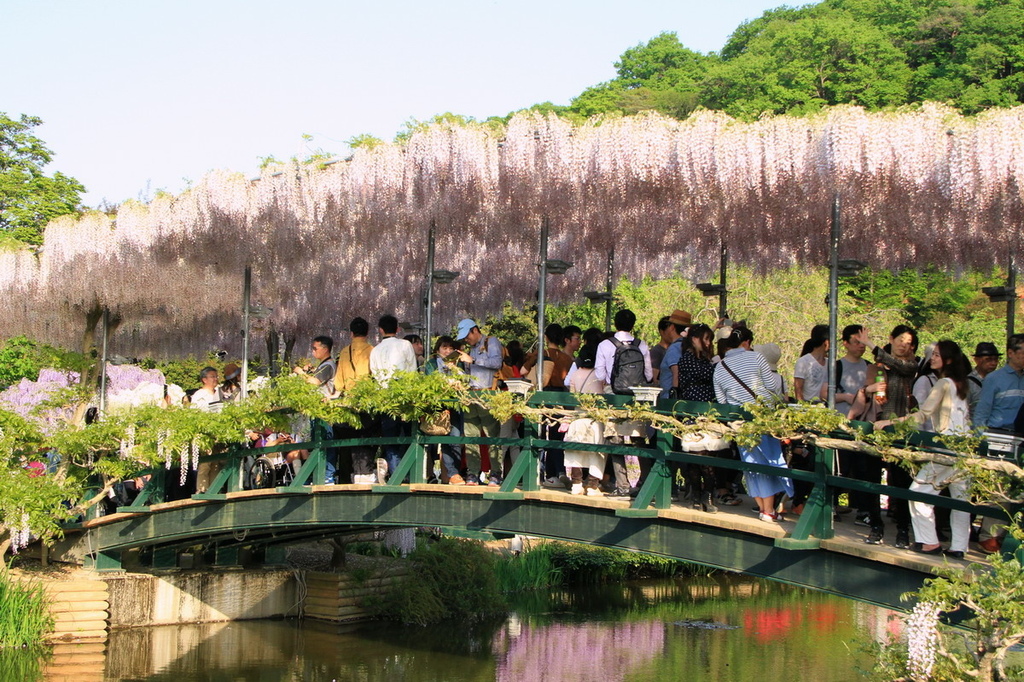 足立花園08.jpg