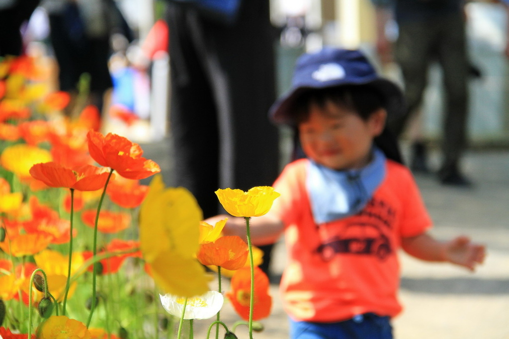 足立花園30.jpg