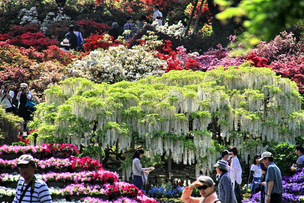 足立花園27.jpg