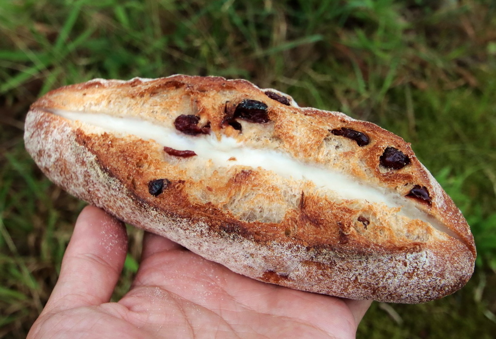 日本鳥取∣小匙子Kosaji Bakery。大山腳下的鄉村風