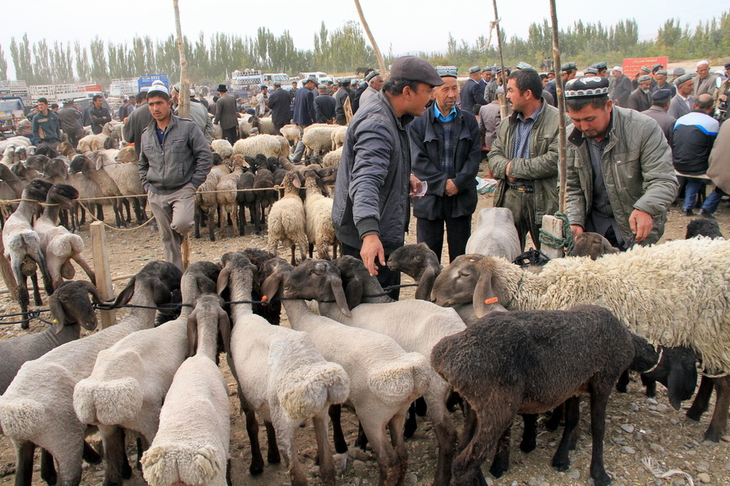 南疆喀什∣牛羊大巴扎。維吾爾族男性專屬。中國最大牲畜交易市場