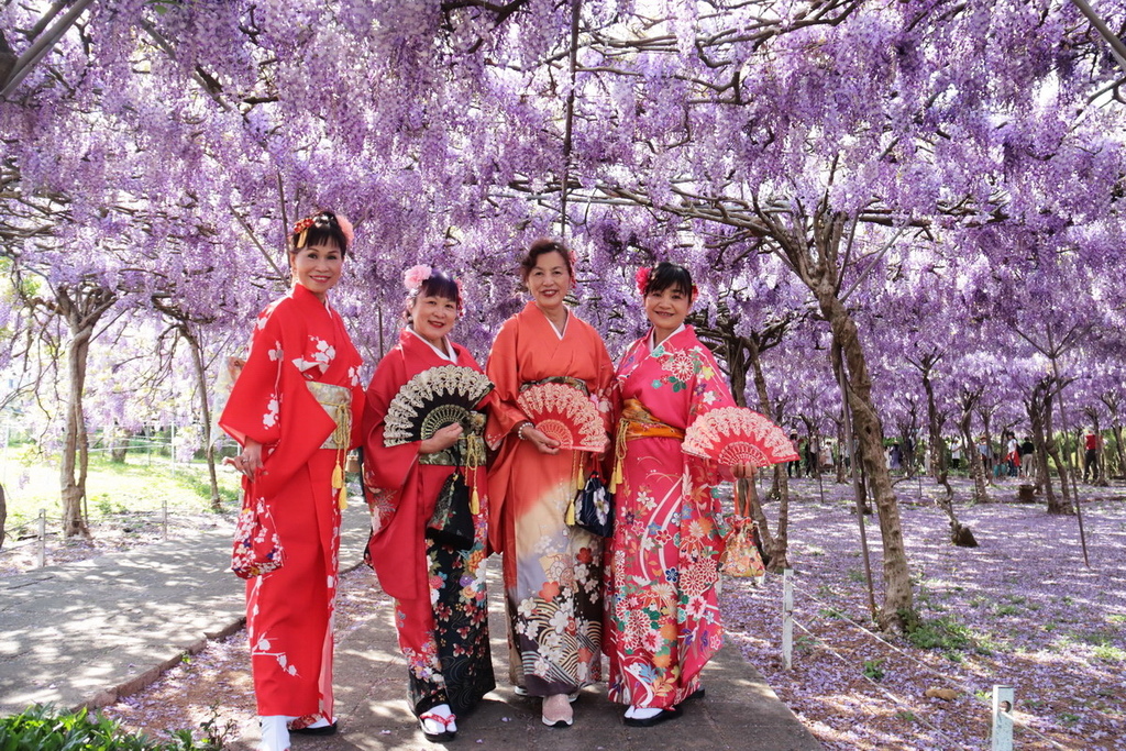 淡水紫藤花園∣全台最大藤花隧道、夢幻花瀑限定開放