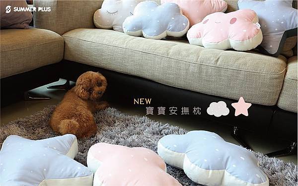 17966565_1258096777640110_4249840738636708202_o