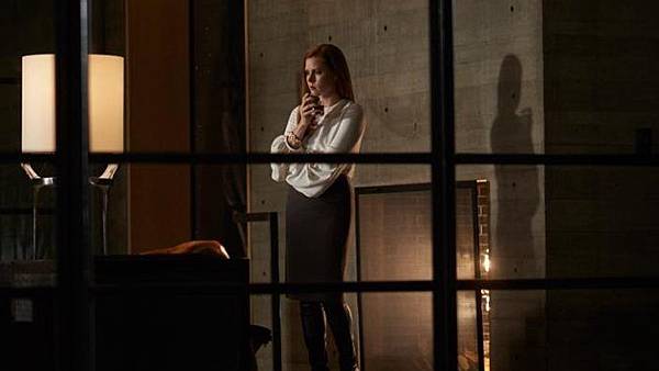 nocturnal-animals01 nocturnal-animals01