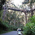 天空步道