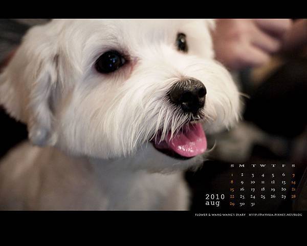 2010年8月-1280x1024
