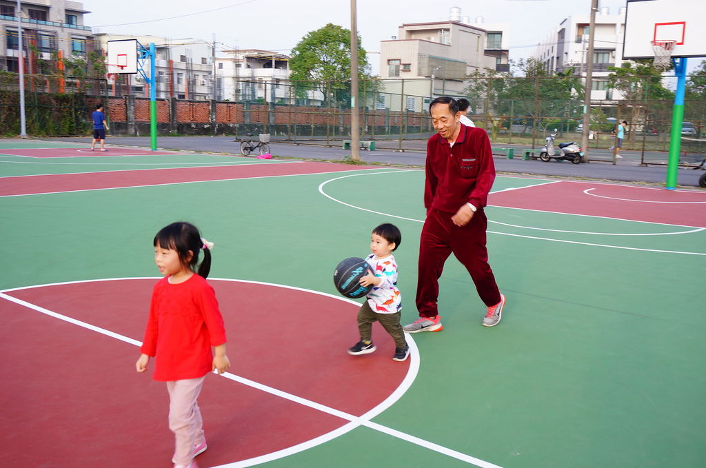 台南左鎮化石園區 (441).JPG