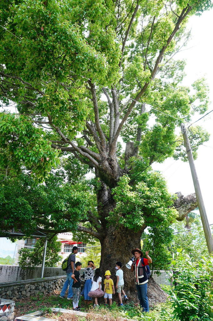 南投信義鄉親子行︱蟬說和社山林 (377).JPG