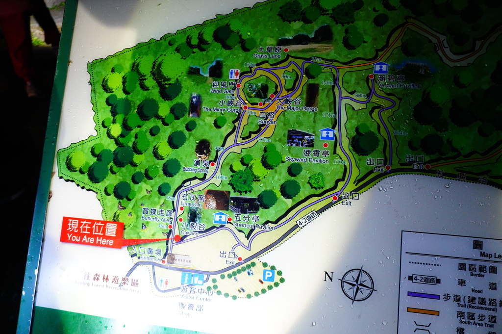 社頂公園夜間導覽 (26).JPG