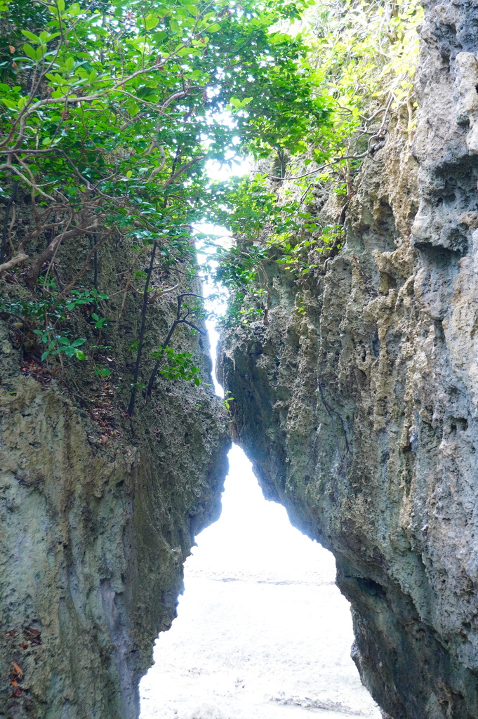 船帆石︱砂島︱鵝蠻鼻燈塔︱小灣沙灘 (167).JPG