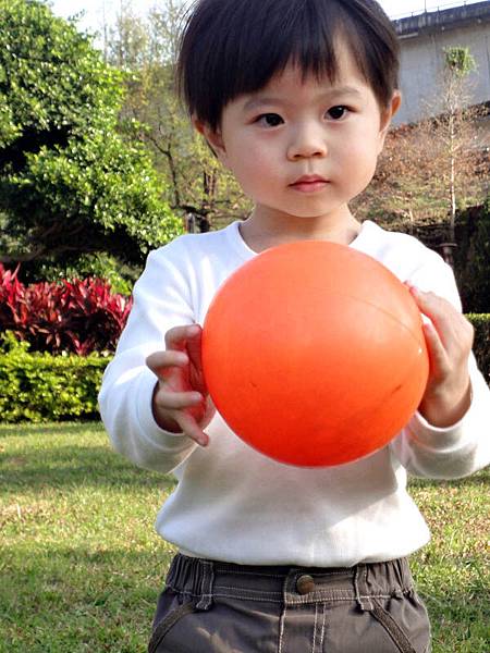 20110226-a.jpg