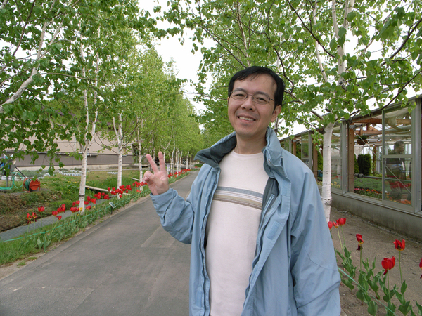 兩旁開滿鬱金香