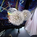 上車後發現有人摘了兩株蒲公英插在我們的位置上送給我們