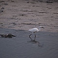 P9111064-d.jpg
