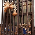 PA252638-a.jpg