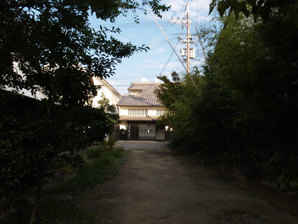 PA252699-a.jpg