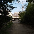 PA252699-a.jpg