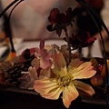 PA262882-a.jpg