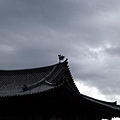 PA262925-a.jpg