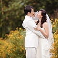 D05165-a.jpg