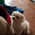 P5036074-a.jpg