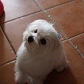 P5036077-a.jpg