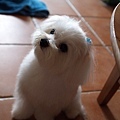 P5036080-a.jpg