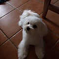 P5036083-a.jpg