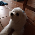 P5036086-a.jpg