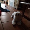 P5036087-a.jpg