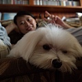 P5036105-a.jpg