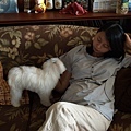 P5036111-a.jpg