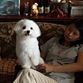 P5036116-a.jpg