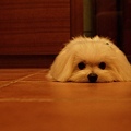P5036121-a.jpg