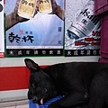 R0015861-a.jpg
