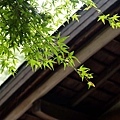 PA273158-a.jpg